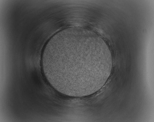 X0000089440146200706291431