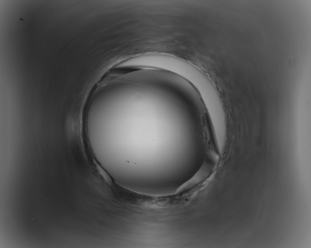 X0000089440148200706291431