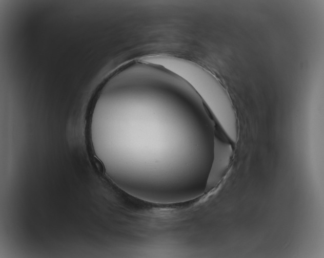 X0000089440150200706291431