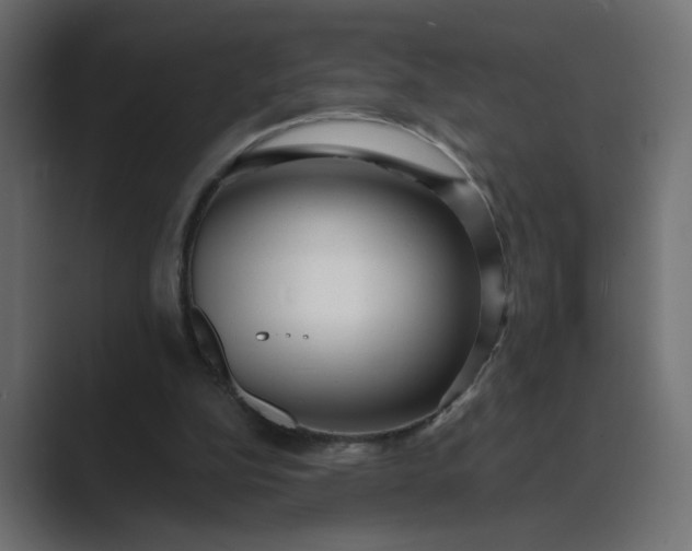 X0000089440152200706291431