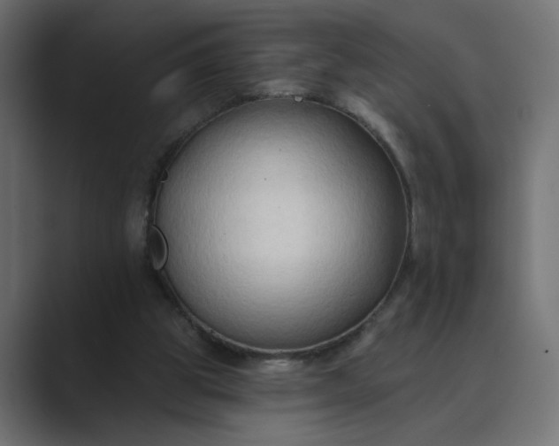 X0000089440153200706291431