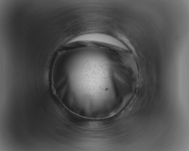 X0000089440154200706291431