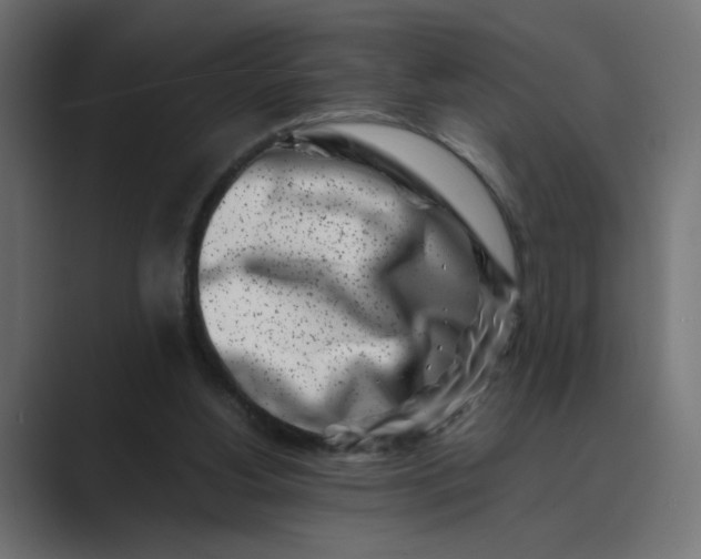 X0000089440156200706291431