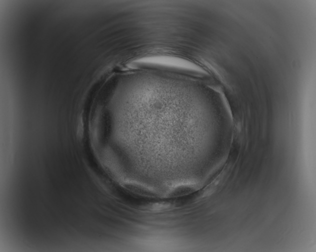 X0000089440158200706291431