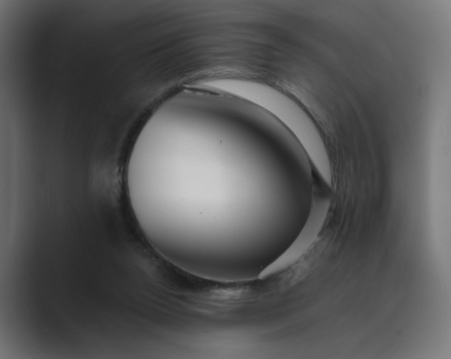 X0000089440160200706291431