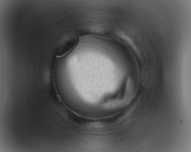 X0000089440161200706291431