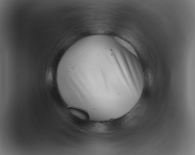 X0000089440166200706291431