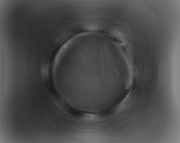 X0000089440167200706291431