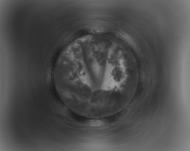 X0000089440169200706291431