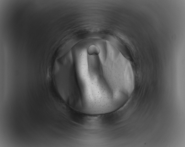 X0000089440170200706291431