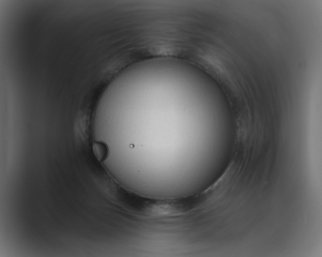 X0000089440171200706291431