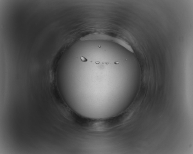 X0000089440173200706291432