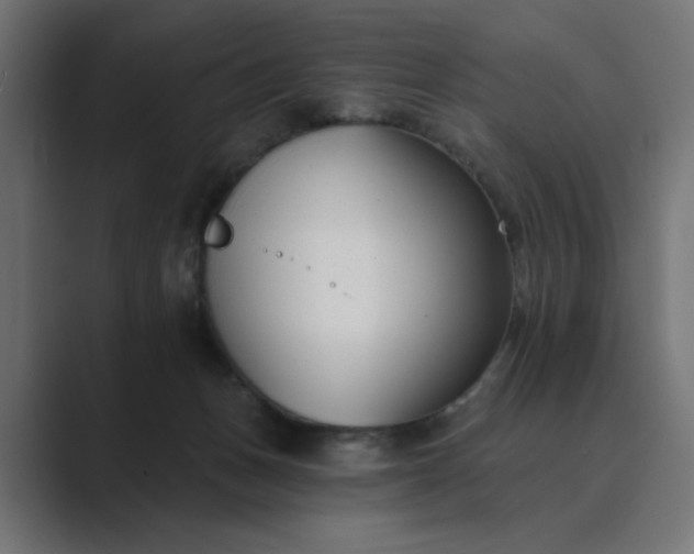 X0000089440175200706291432