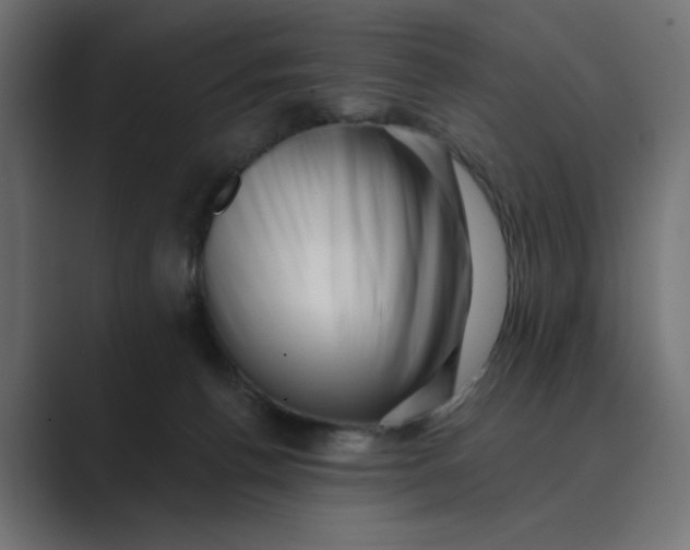 X0000089440176200706291432