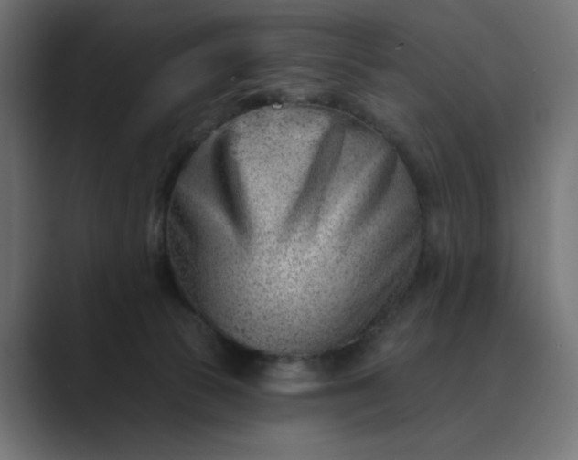 X0000089440177200706291432