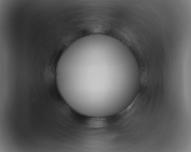 X0000089440179200706291432