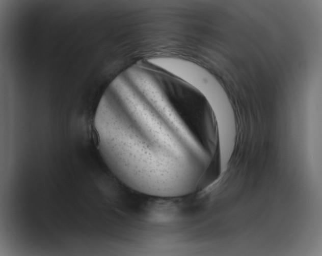 X0000089440180200706291432