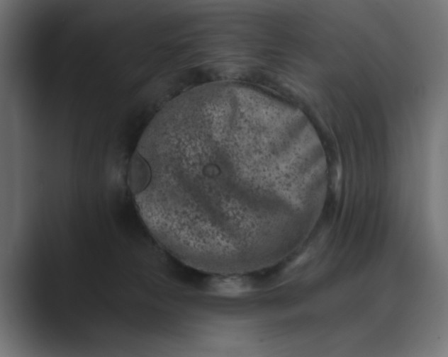 X0000089440181200706291432