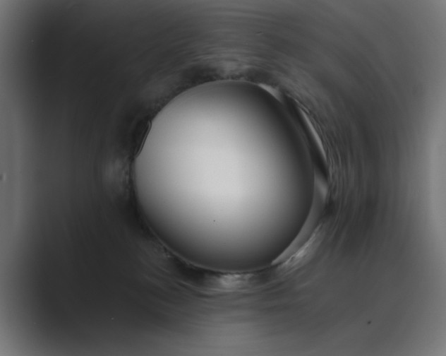 X0000089440184200706291432