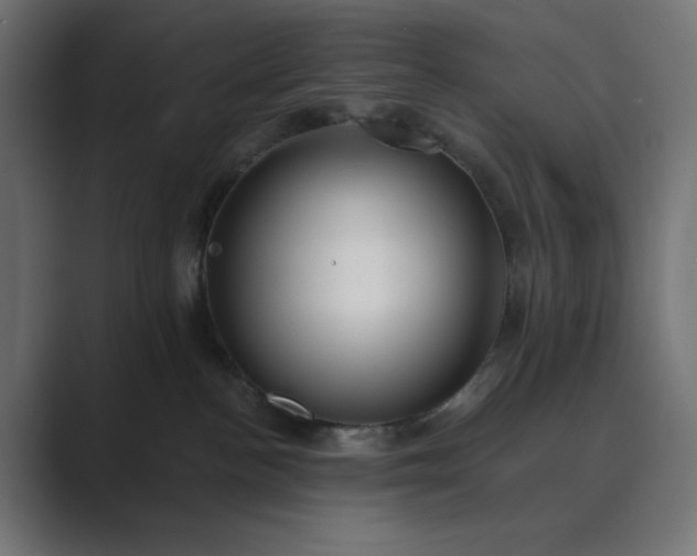 X0000089440188200706291432