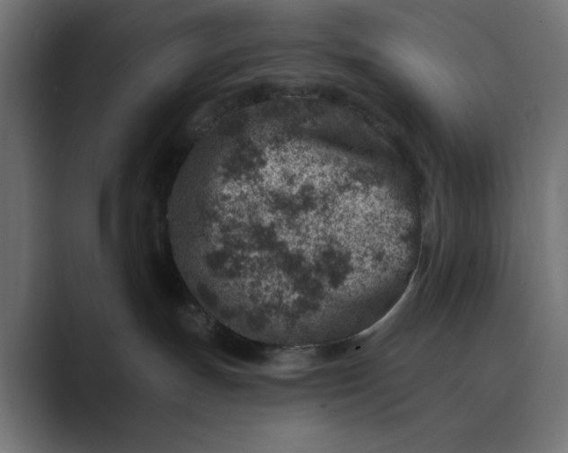 X0000089440191200706291432