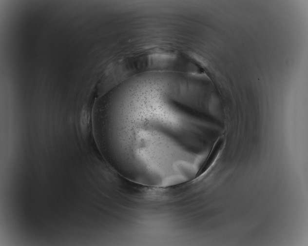 X0000089440192200706291432