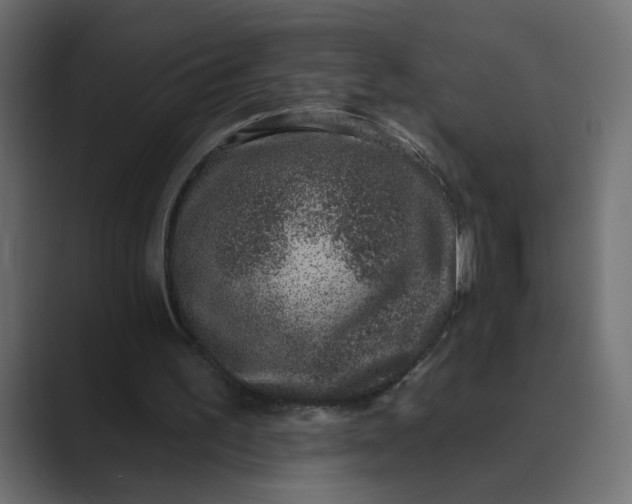 X0000089440195200706291431