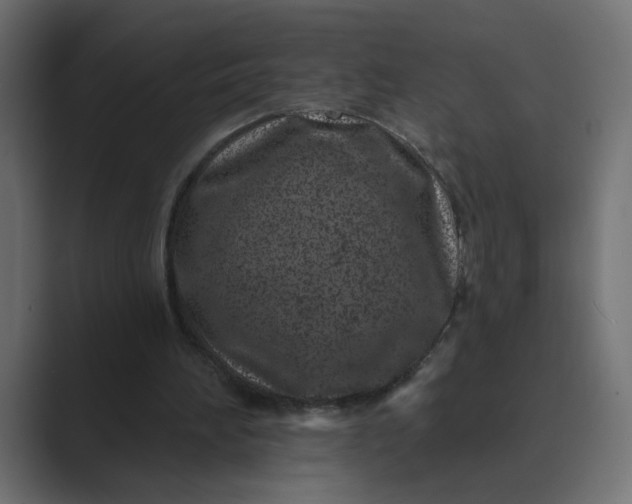 X0000089440196200706291431