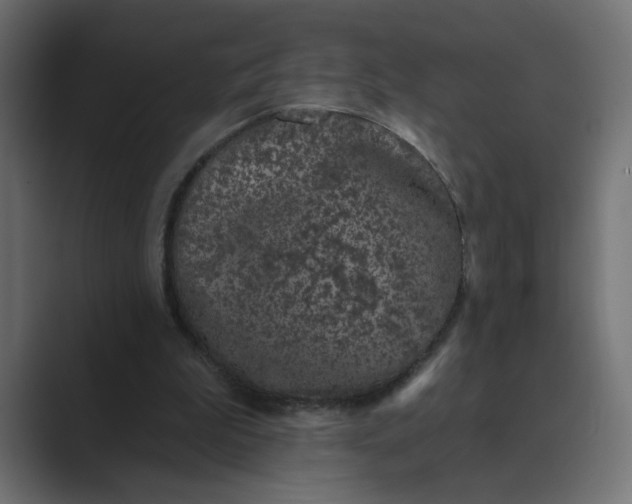 X0000089440199200706291431