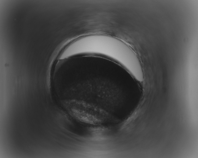 X0000089440200200706291431