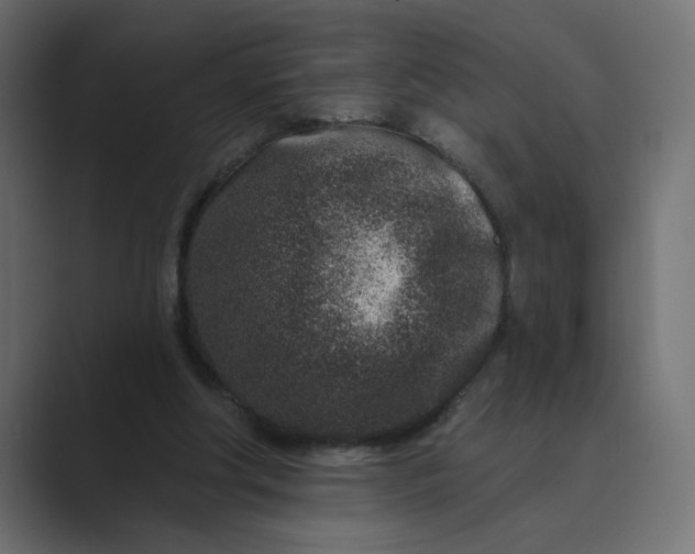 X0000089440202200706291431