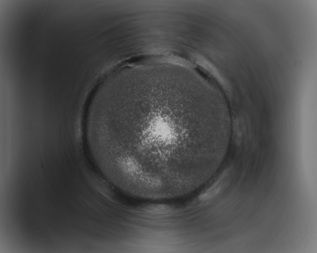 X0000089440203200706291431