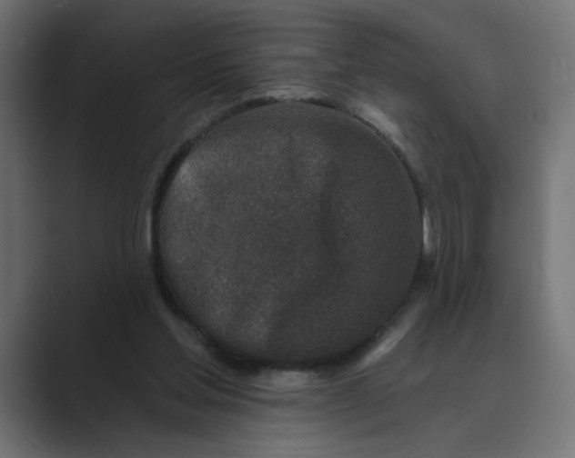 X0000089440205200706291431