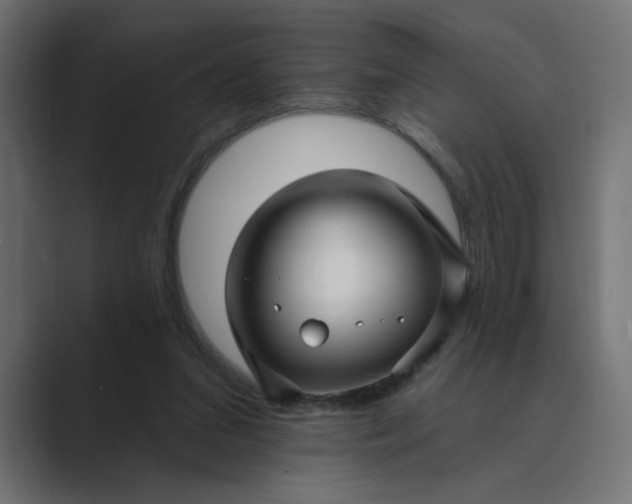 X0000089440207200706291431