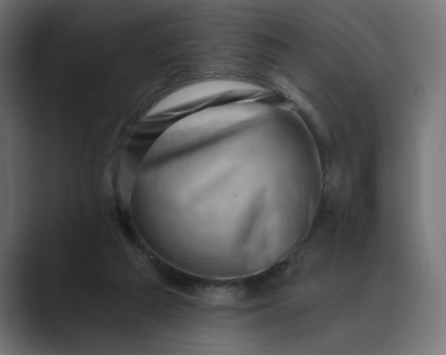 X0000089440209200706291431