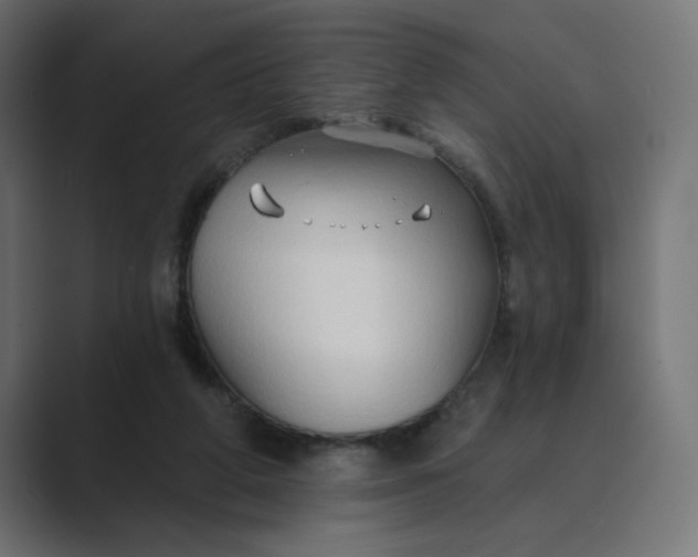 X0000089440210200706291431