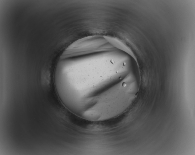 X0000089440211200706291431