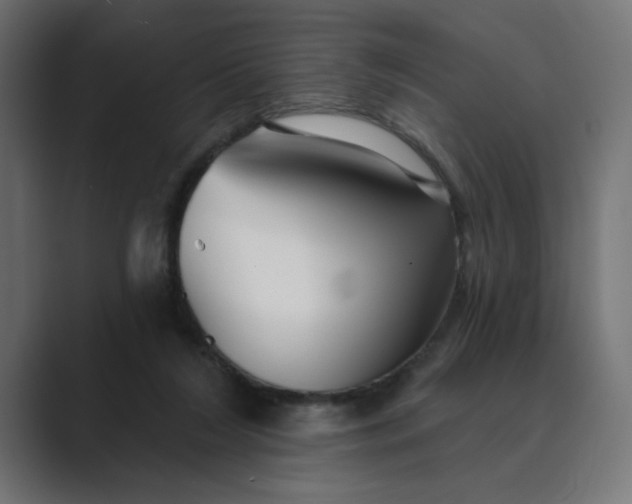 X0000089440212200706291431