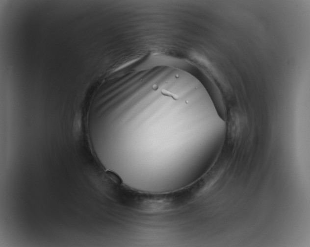 X0000089440213200706291431