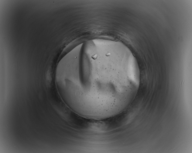 X0000089440215200706291431