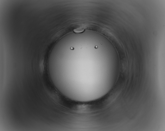 X0000089440216200706291431