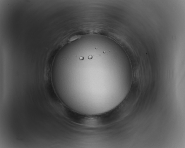 X0000089440218200706291431