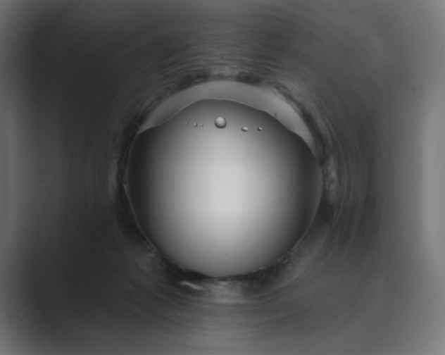 X0000089440221200706291431