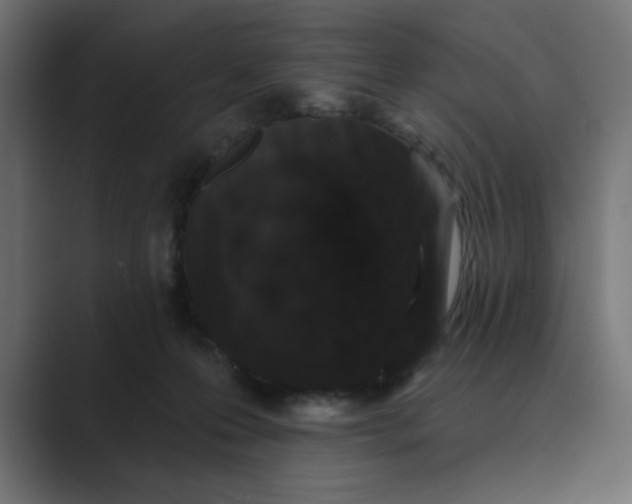 X0000089440223200706291431