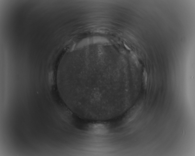 X0000089440224200706291431