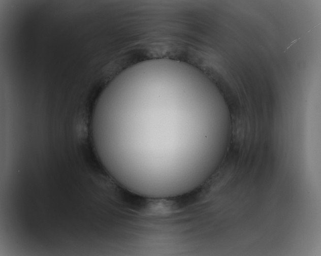 X0000089440226200706291431