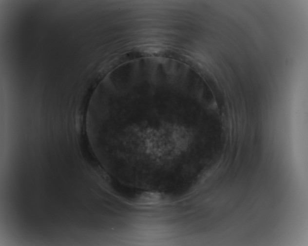 X0000089440227200706291431