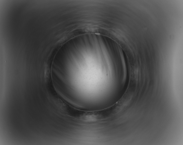 X0000089440228200706291431