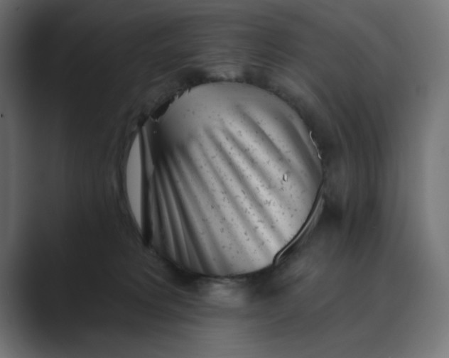 X0000089440229200706291431