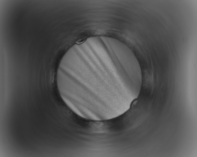 X0000089440230200706291431